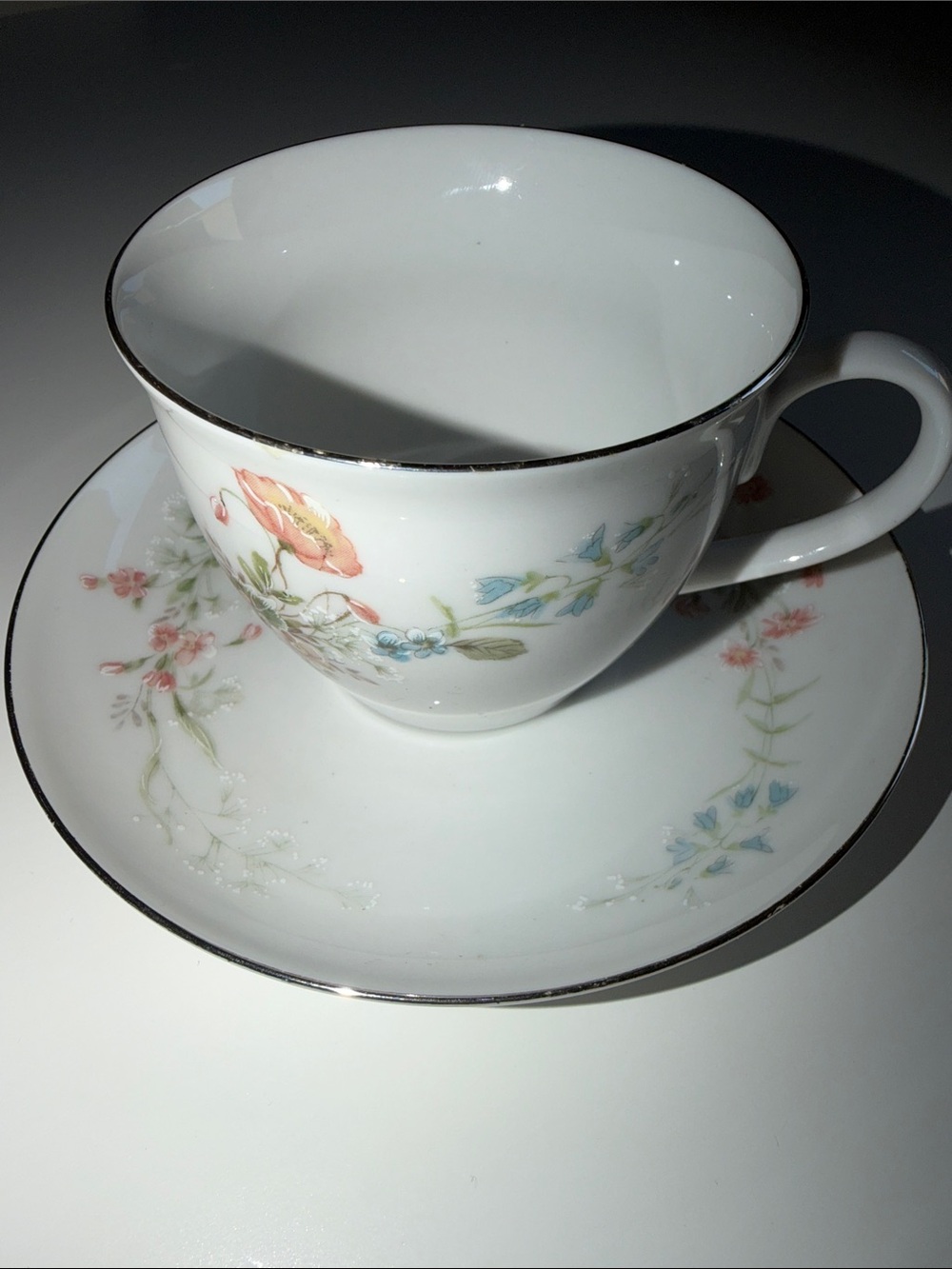 White Floral Porcelain Teacup and Saucer with Silver Trim
